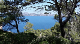 Ausgedehnte Wälder und das Meer - Mallorca ist mehr als nur Massentourismus, und die Insel eignet sich perfekt für ein exklusives Coaching