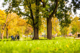 Ein Tag im Park - auftanken und neue Wege finden